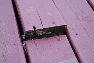 Damaged Deck Board