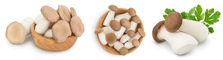 King Oyster mushroom or Eringi isolated on white background . Set or collection