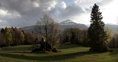 Meadows and woodland in the mountains around Walenstadt, Swiss Alps