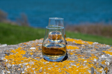 Tasting of single malt Scotch whisky with blue sea, ocean or river view, private whisky tours in Scotland, UK