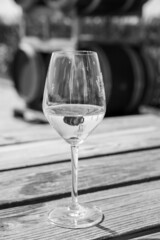 Wine production in Netherlands, white wine tasting glass close up
