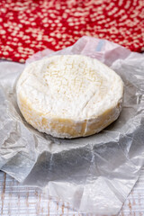 Cheese collection, fresh white soft cow cheese with mold from Swiss
