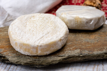 Cheese collection, fresh white soft cow cheese with mold from Swiss