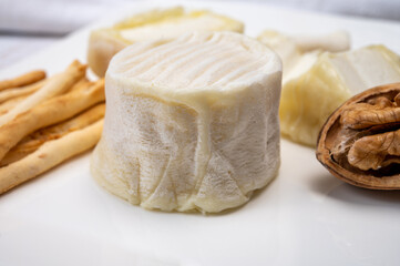 Cheese collection, soft goat French cheese with mold crottin de Chavignol produced in Loire Valley