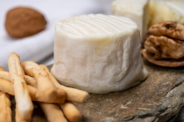Cheese collection, soft goat French cheese with mold crottin de Chavignol produced in Loire Valley