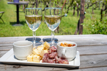 Lunch with Dutch snacks and white wine served outdoor on green meadow with vineyard, wine production in Netherlands