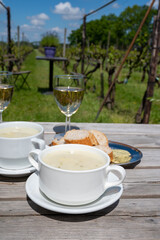 Lunch with homemade white asparagus soup and Dutch white wine served outdoor on green meadow with vineyard, asparagus and wine production farm in Netherlands
