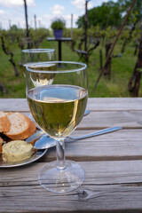 Tasting of Dutch white wine served outdoor on green meadow with vineyard, wine production in Netherlands
