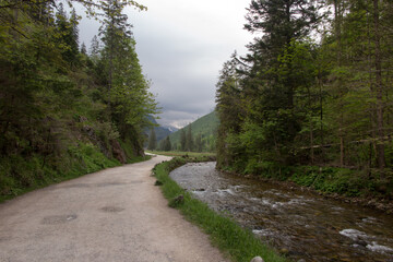 Mountain stream flowing along the road in the valley, in the lower parts of the Tatra Mountains