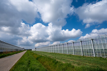 Fototapeta premium Agriculture in Netherlands, big glass greenhouses used for growing organic vegetables and fruits, Zeeland
