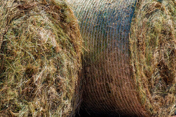 Hay bales
