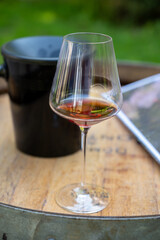 Tasting of dry burgundy red wine made from pinot noir  grapes, wine tourisme to Burgundy Cote de Nuits wine region, France
