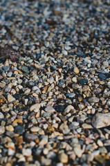 closeup of pea gravel