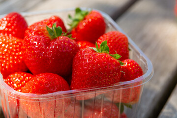 Red ripe Dutch strawberry, new harvest, ready to eat