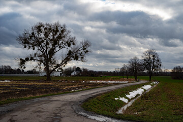 country road in spring