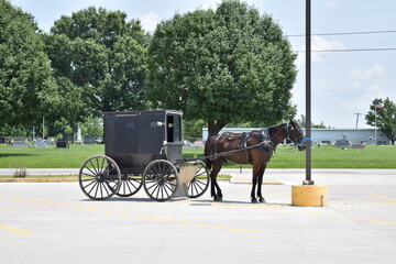 Horse and Buggy