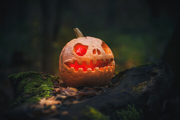 Glowing Jack O Lantern, with an evil face. Carved pumpkin for Halloween on fallen tree in a...