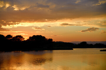 Naklejka premium Soirée dorée