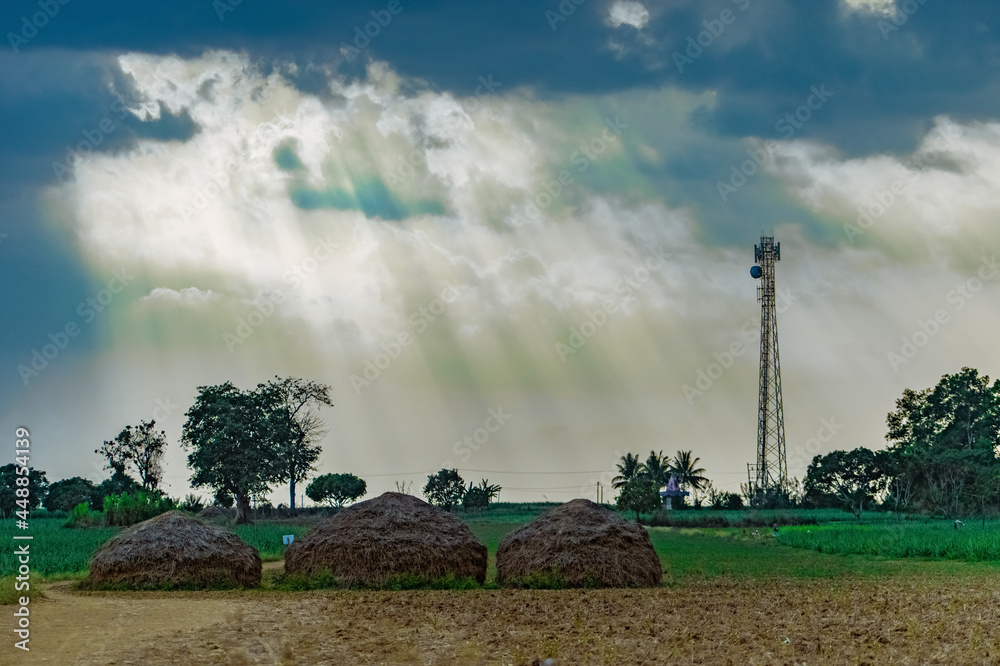 Poster gloomy shot of an agricultural field with grass piles under a cloudy sky