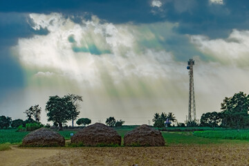 Gloomy shot of an agricultural field with grass piles under a cloudy sky