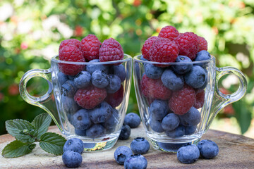 raspberries and blueberries in transparent cups in the garden
