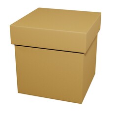 isolated cardboard box. 3d render