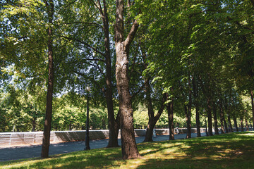 Shady embankment of the Svisloch river in Minsk