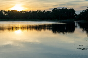 Obraz na płótnie Canvas Exploring peaceful wetlands at sunset