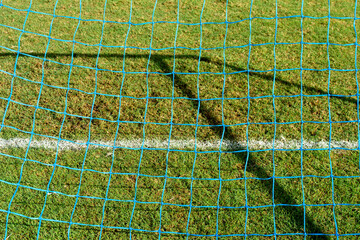 Caught in the Net 