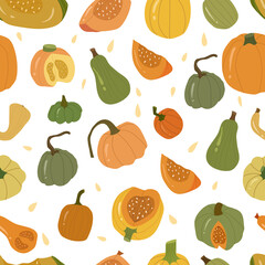 Colored pumpkin seamless pattern, autumn vegetable whole and slice.