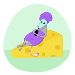 Resting mouse in the spa salon