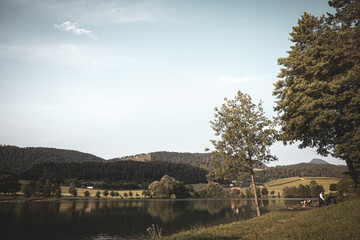 Trees in Skalsko jezero or Lake of Skale close to Velenje in the Saleska dolina region of Slovenia. © Anze