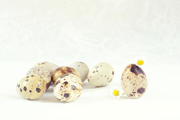 Several quail eggs and a pair of daisies on a light background