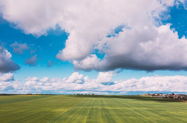 Countryside Rural Green Field Landscape With Young Wheat Sprouts In Spring Summer Cloudy Day. Agricultural Field. Young Wheat Shoots. Aerial View