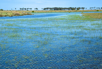 Body of water in the flat lands of Colombia  