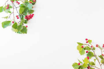Flat lay frame with red berries and green leaves on white background
