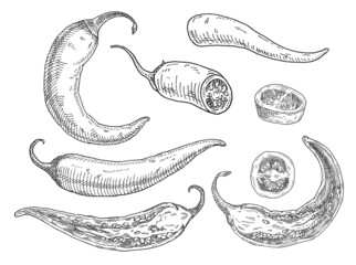 Half, slice and whole pepper chilli. Vintage hatching gray monochrome illustration.
