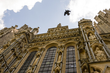 Bird over Wells Cathedral