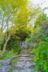 Wooden bridge in the park