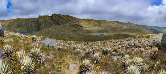 Panorama of Lagunas de Siecha, P&aacute;ramo de Chingaza, Colombia.