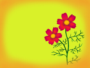 黄色い背景と秋桜