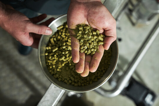 Hops Pellets.
