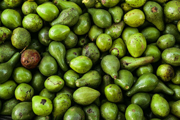 Brazilian organic product