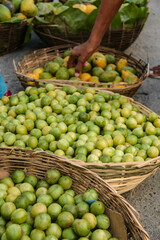 Brazilian organic product