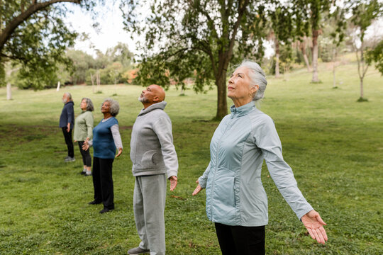 Row of Seniors Hold Tree Pose During Yoga