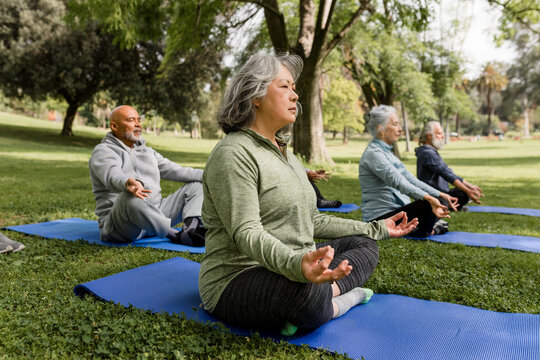 Diverse Group of Seniors Meditate in the Park
