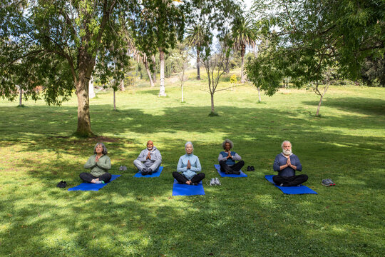 Seniors Meditate During a Yoga Session in the Park
