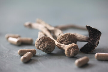 Psilocybin Mushrooms