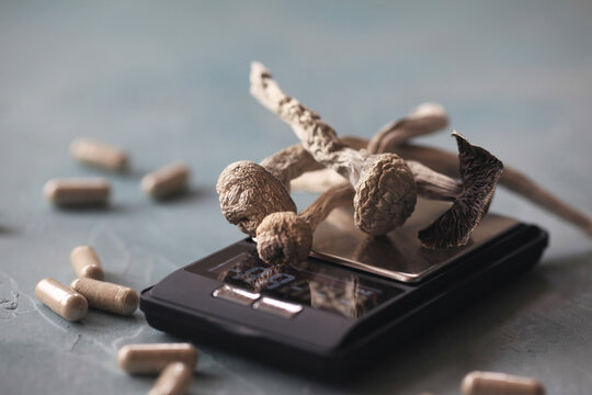 Psilocybin Mushrooms
