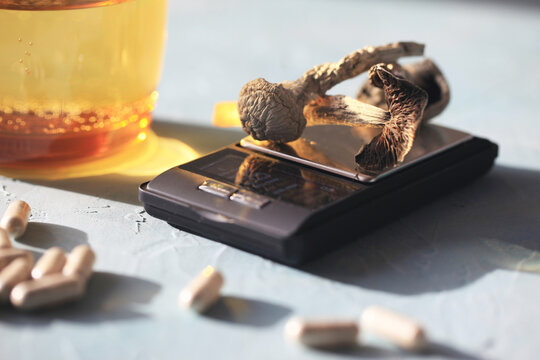 Psilocybin Mushrooms
